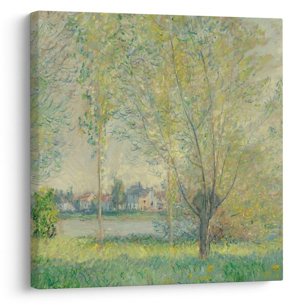 Obraz - Claude Monet, The Willows, reprodukce (30x30 cm)