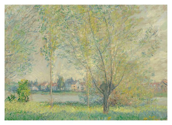 Obraz - Claude Monet, The Willows, reprodukce (70x50 cm)