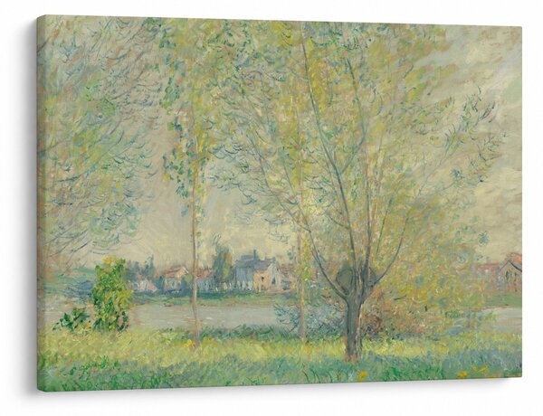 Obraz - Claude Monet, The Willows, reprodukce (70x50 cm)