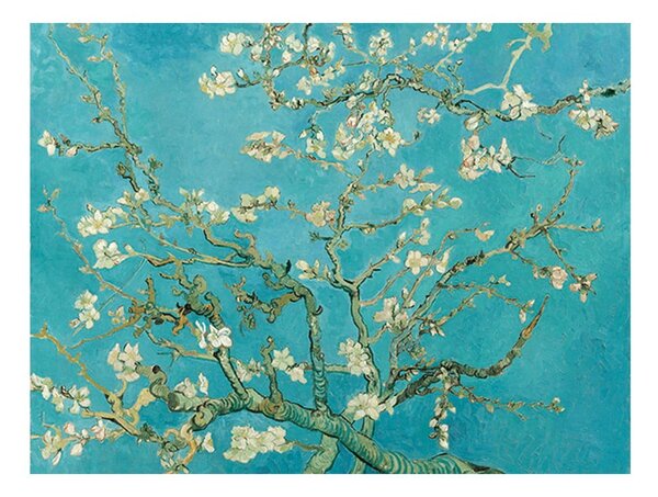 Reprodukce obrazu Vincenta van Gogha - Almond Blossom, 60 x 45 cm