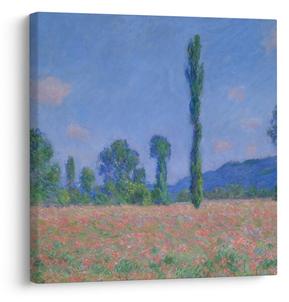 Obraz - Claude Monet, Poppy Field (Giverny), reprodukce (30x30 cm)
