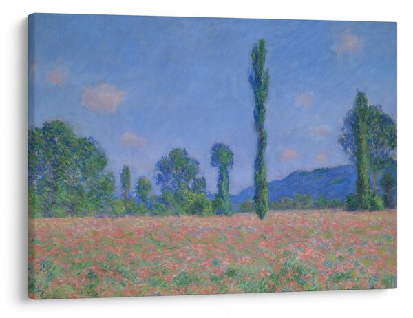 Obraz - Claude Monet, Poppy Field (Giverny), reprodukce (70x50 cm)