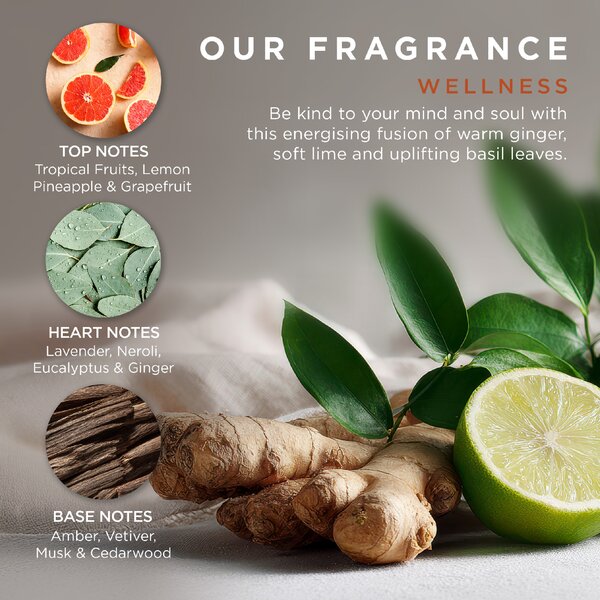 Baylis & Harding Wellness - sada péče o tělo a houbičky, 5 ks