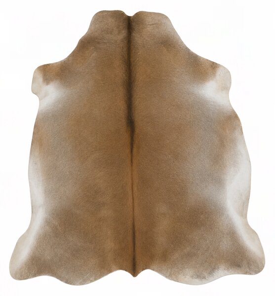 ARCTIC FUR Hovězí předložka 100% příroda