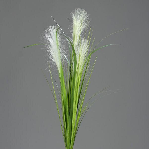 DEKORAČNÍ TRÁVA, 70 cm - Dekorační tráva