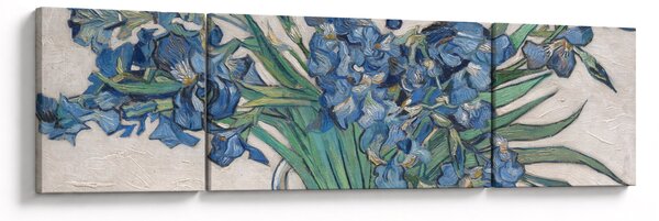 Obraz - Vincent van Gogh, Irises, reprodukce (170x50 cm)