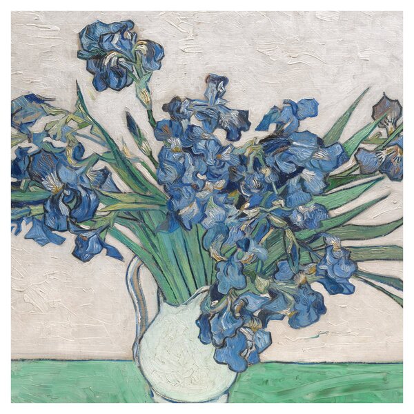 Obraz - Vincent van Gogh, Irises, reprodukce (30x30 cm)