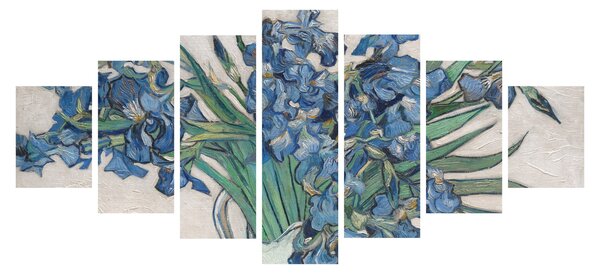 Obraz - Vincent van Gogh, Irises, reprodukce (210x100 cm)