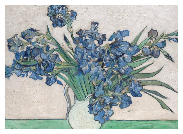 Obraz - Vincent van Gogh, Irises, reprodukce (70x50 cm)