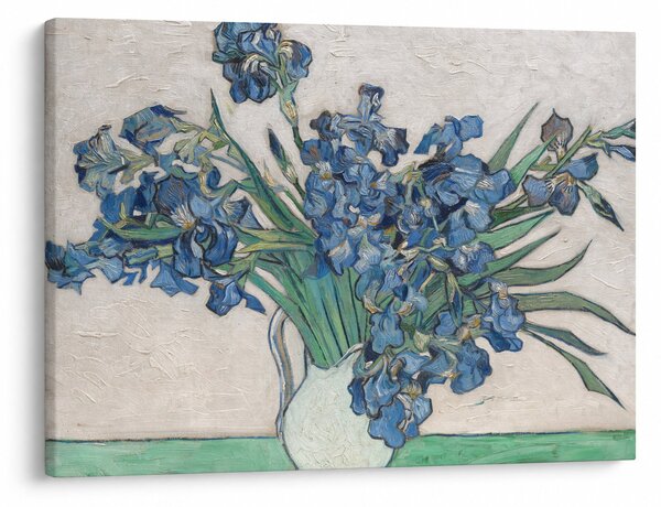 Obraz - Vincent van Gogh, Irises, reprodukce (70x50 cm)