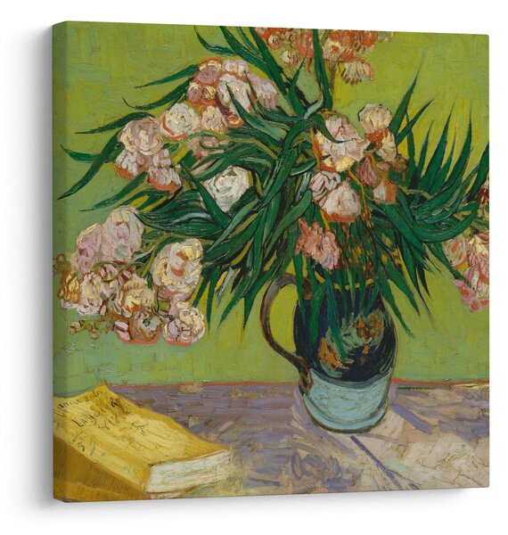 Obraz - Vincent van Gogh, Oleanders, reprodukce (30x30 cm)