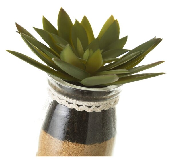Umělé rostliny v sadě 4 ks (výška 18 cm) Cactus – Casa Selección