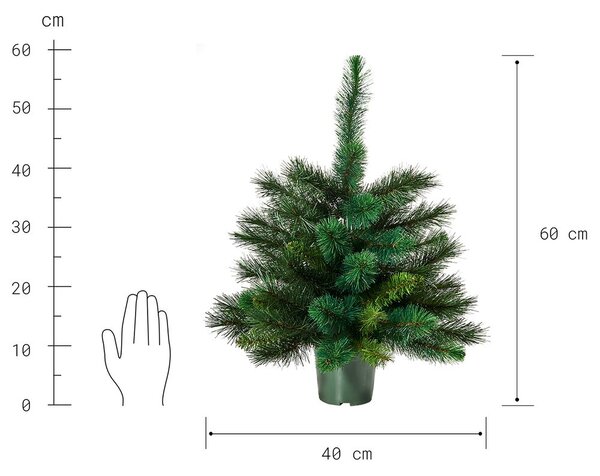 TREE OF THE MONTH Vánoční stromek 60 cm - zelená