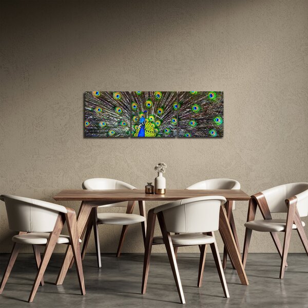 Obraz - Páv (s hodinami) (90x30 cm)