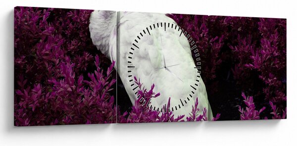 Obraz - Bílý páv (s hodinami) (90x30 cm)