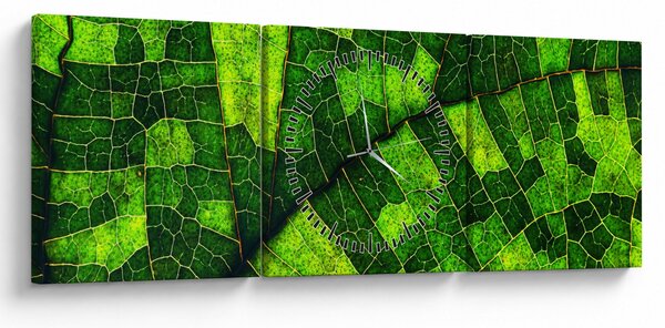 Obraz - Detail listu (s hodinami) (90x30 cm)