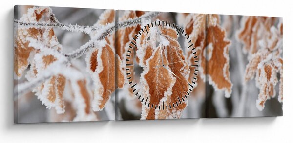 Obraz - Zmrzlé listy (s hodinami) (90x30 cm)