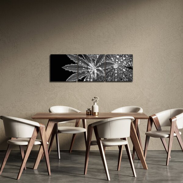 Obraz - Listy s kapkami (s hodinami) (90x30 cm)