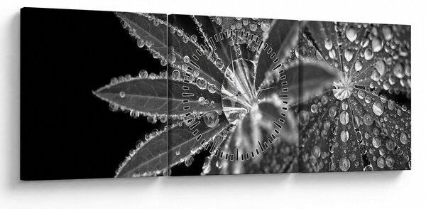 Obraz - Listy s kapkami (s hodinami) (90x30 cm)