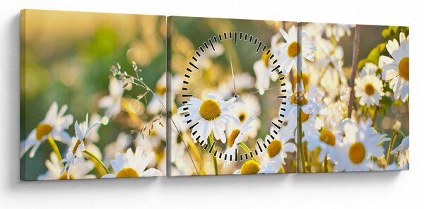 Obraz - Kopretiny (s hodinami) (90x30 cm)