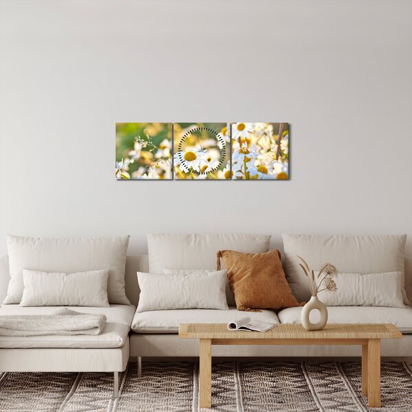 Obraz - Kopretiny (s hodinami) (90x30 cm)