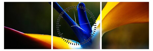 Obraz - Exotický květ (s hodinami) (90x30 cm)