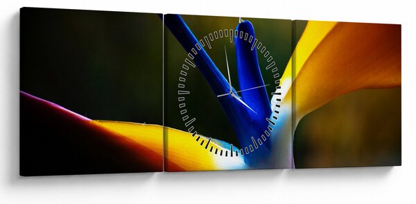 Obraz - Exotický květ (s hodinami) (90x30 cm)