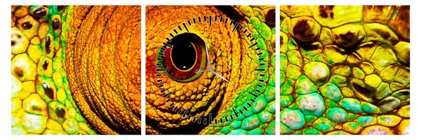 Obraz - Chameleon (s hodinami) (90x30 cm)