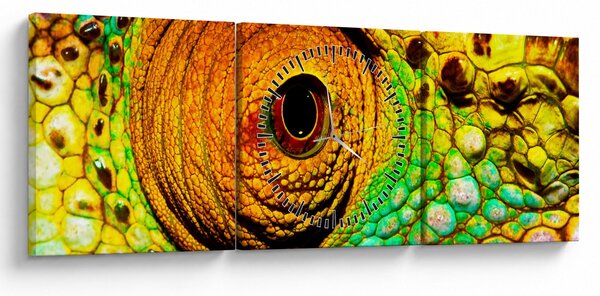 Obraz - Chameleon (s hodinami) (90x30 cm)
