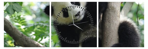 Obraz - Panda na stromě (s hodinami) (90x30 cm)