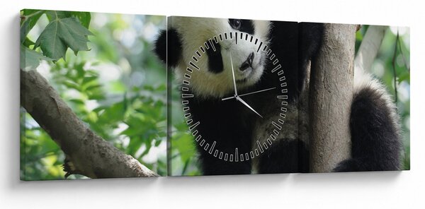 Obraz - Panda na stromě (s hodinami) (90x30 cm)