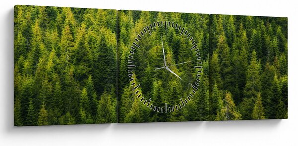 Obraz - Hustý les (s hodinami) (90x30 cm)