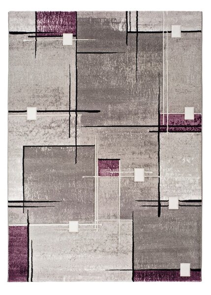 Šedo-fialový koberec Universal Detroit, 200 x 290 cm