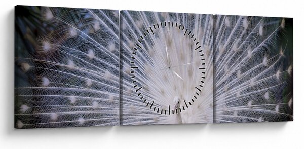 Obraz - Bílý páv (s hodinami) (90x30 cm)