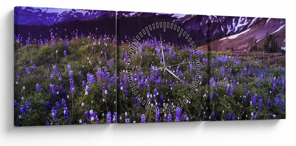 Obraz - Sopka a květiny (s hodinami) (90x30 cm)