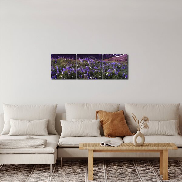 Obraz - Sopka a květiny (s hodinami) (90x30 cm)