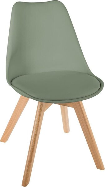 Jídelní židle Eazy Living Berenice Green