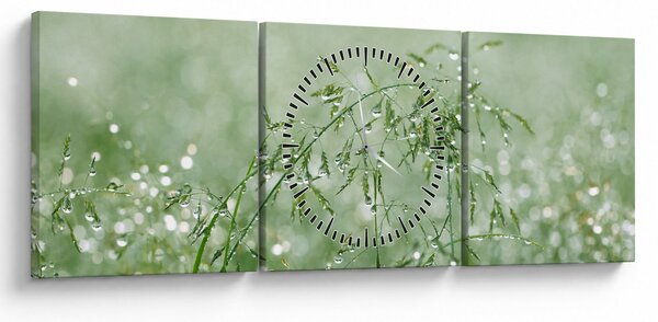 Obraz - Rosa v trávě (s hodinami) (90x30 cm)