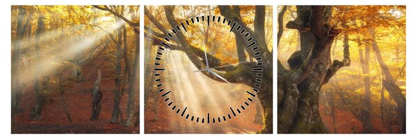 Obraz - Podzimní svit (s hodinami) (90x30 cm)
