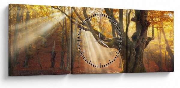Obraz - Podzimní svit (s hodinami) (90x30 cm)
