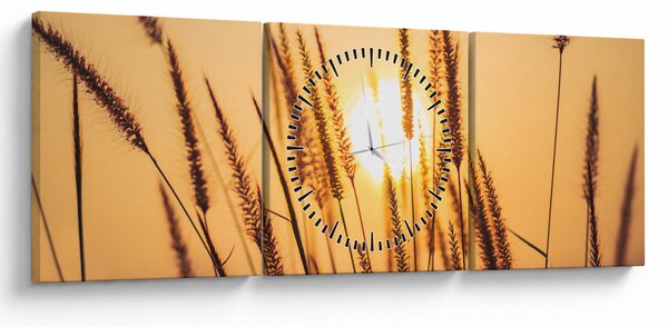 Obraz - Traviny ve slunci (s hodinami) (90x30 cm)