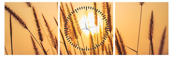 Obraz - Traviny ve slunci (s hodinami) (90x30 cm)