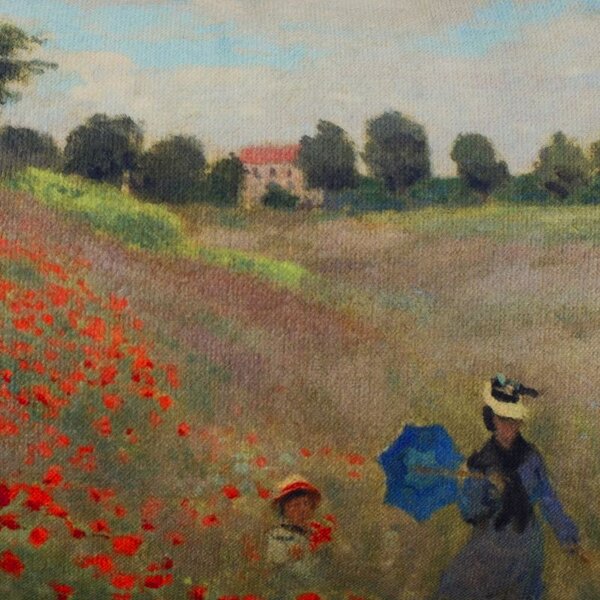 Povlak ART VELVET monet-pole vlčích máků zelenočervená 30 x 50 cm