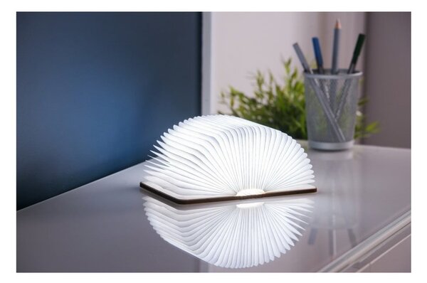 Světelná dekorace na USB v přírodní barvě Booklight – Gingko