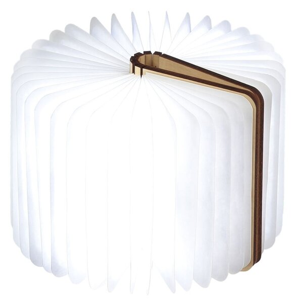 Světelná dekorace na USB v přírodní barvě Booklight – Gingko