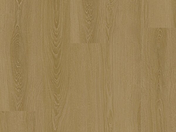 CORETEC Surplus Elegance oak 83 50RLV3683 - 2.68 balení