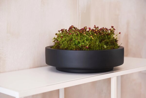 Mísa na květiny ESCADA LOW, sklolaminát, průměr 37 cm, antracit