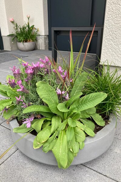 Mísa na květiny ESCADA LOW, sklolaminát, Ø 45 cm, šedá - beton design