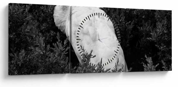 Obraz - Páv, černobílá (s hodinami) (90x30 cm)