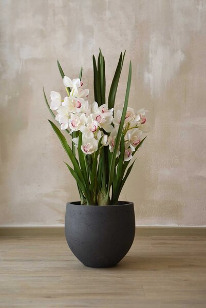 Moderní květináč RAFIOT, sklolaminát, výška 28 cm, antracit